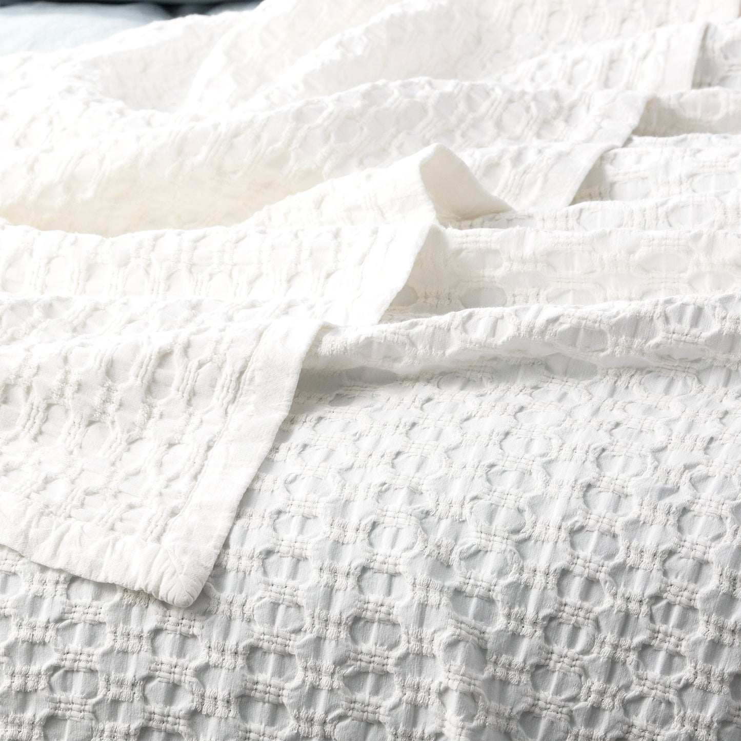Lexico Cotton Waffle Blanket