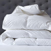 Renee Taylor 600 GSM Deluxe High Loft Quilt With Cotton Cover Premium Microfiber Filling King Single