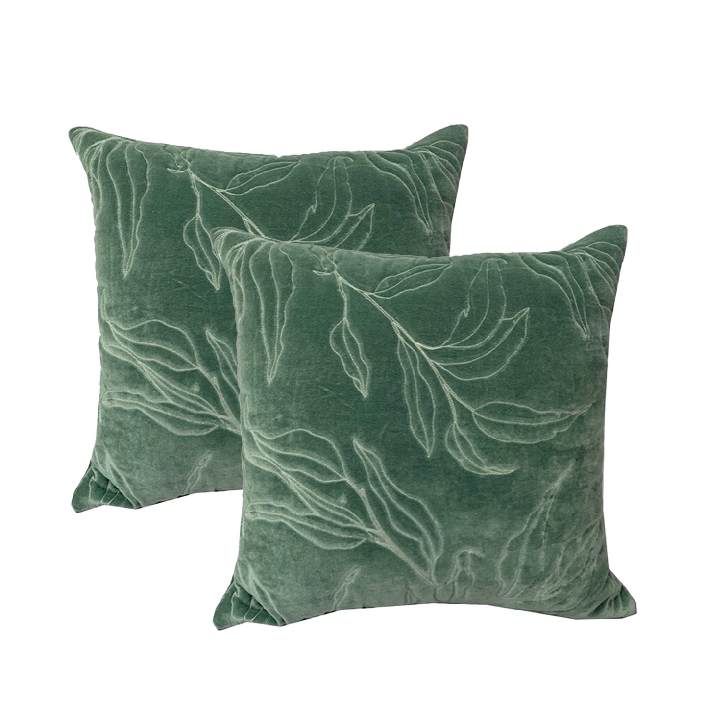 Twin Pack Velvet Cotton Cushions