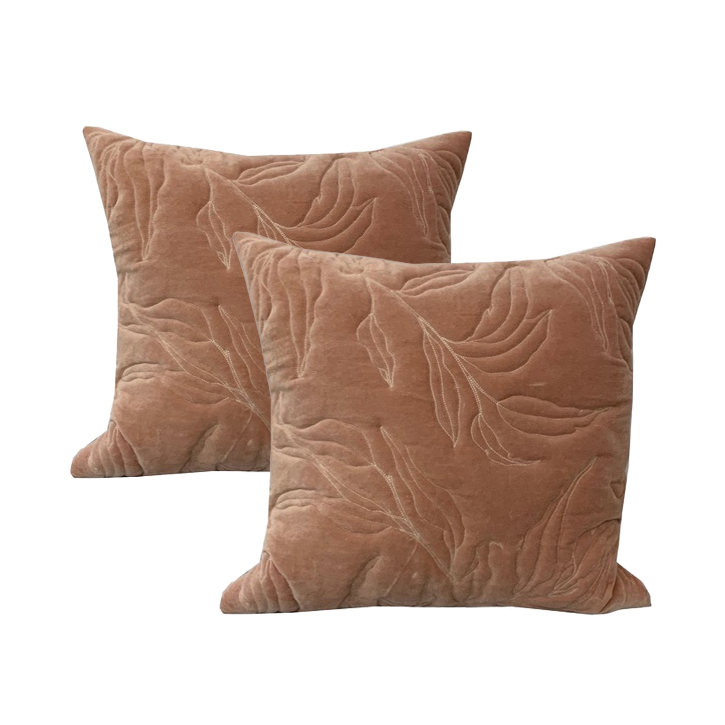 Twin Pack Velvet Cotton Cushions