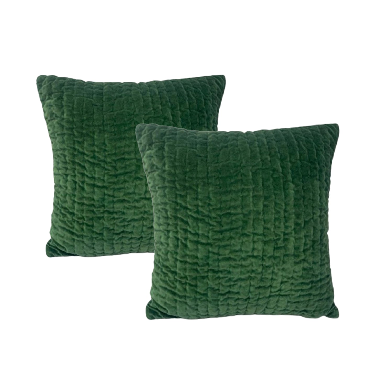 Twin Pack Velvet Cotton Embroidered Cushions