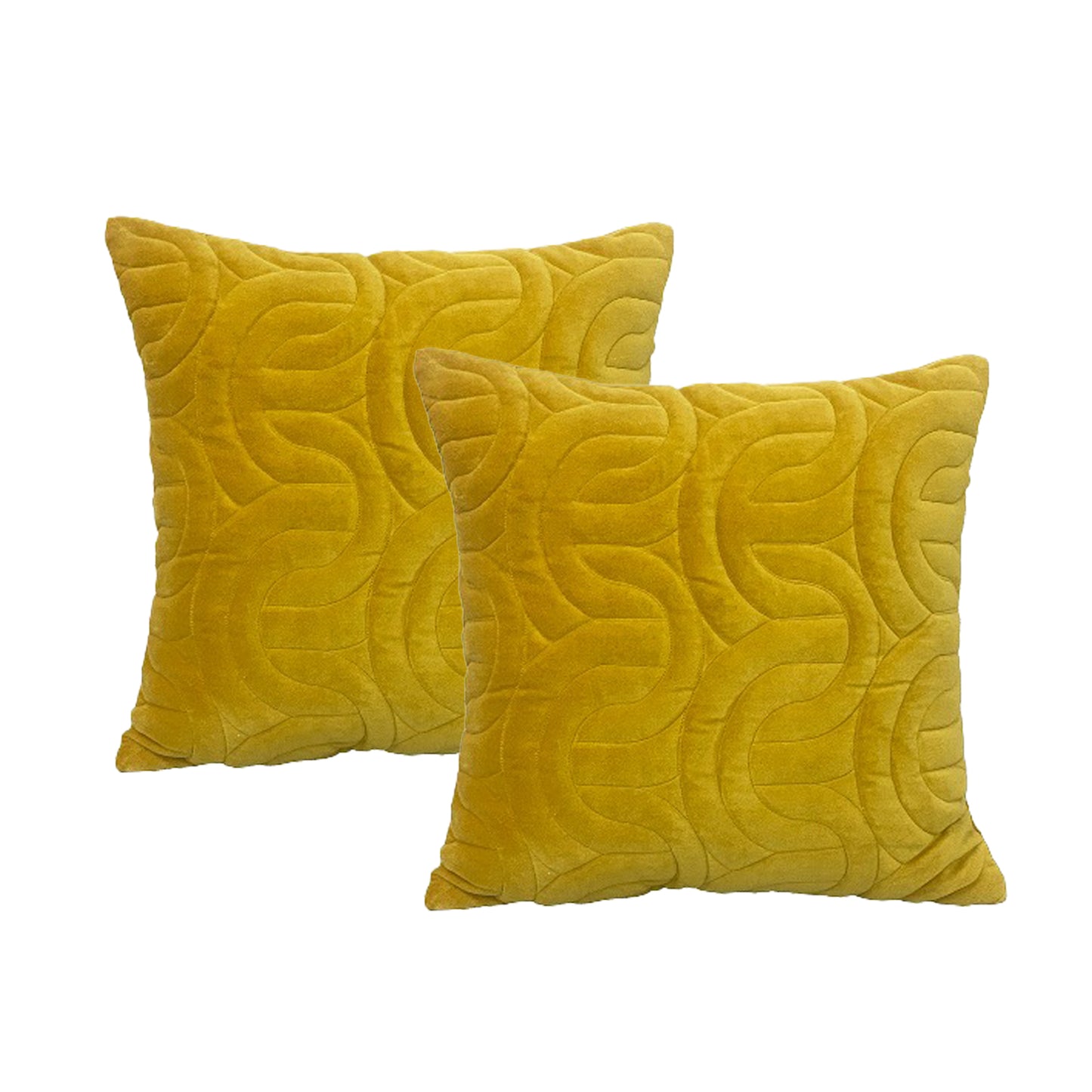 Twin Pack Velvet Cotton Embroidered Cushions