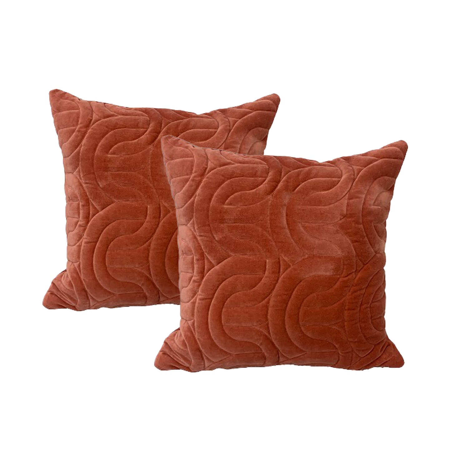 Twin Pack Velvet Cotton Embroidered Cushions