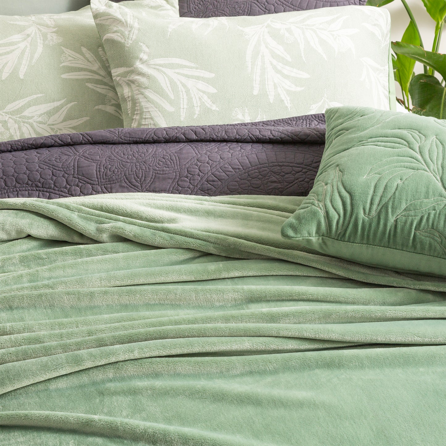 Ultra Plush Velvet Blanket - 380 GSM