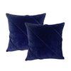 Twin Pack Velvet Cotton Cushions