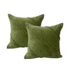 Twin Pack Velvet Cotton Cushions