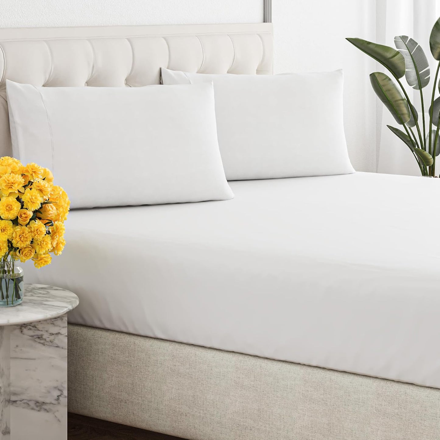 Renee Taylor 300 Thread Count 100% Organic Cotton Fitted and Pillow Case