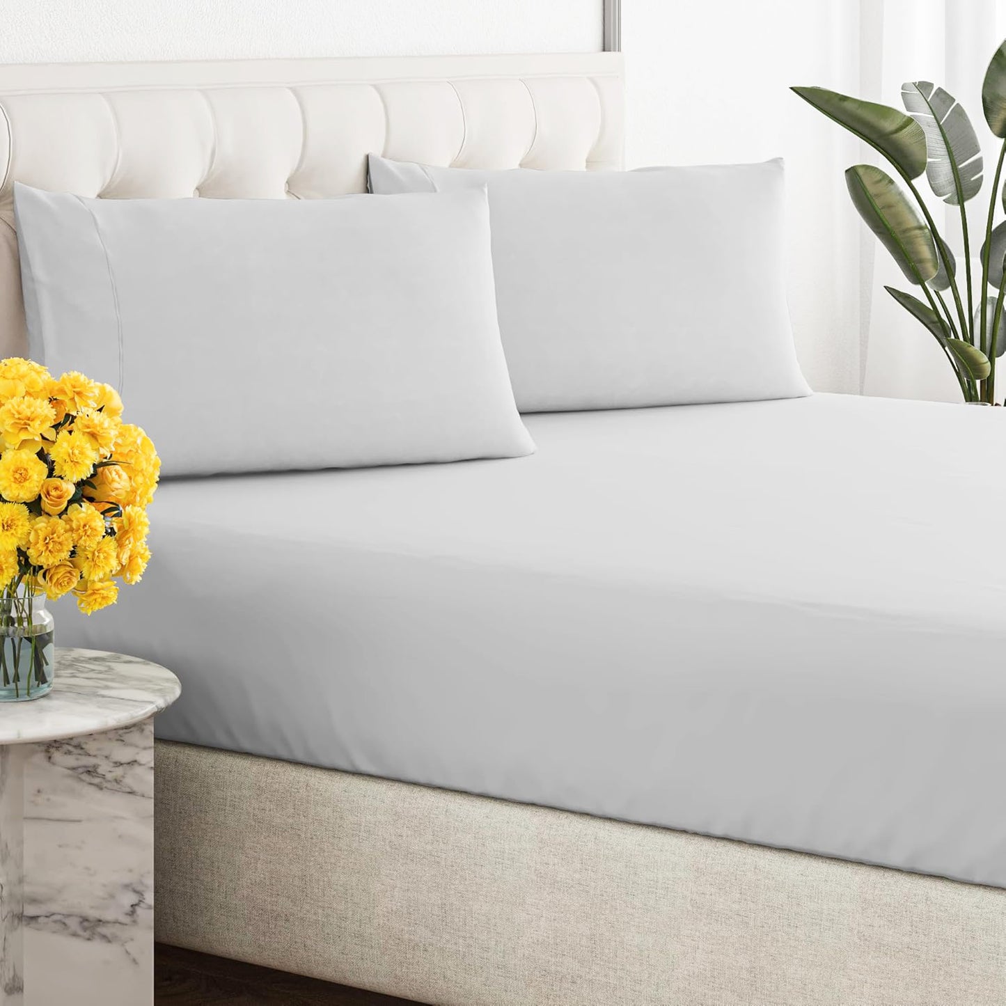 Renee Taylor 300 Thread Count 100% Organic Cotton Fitted and Pillow Case