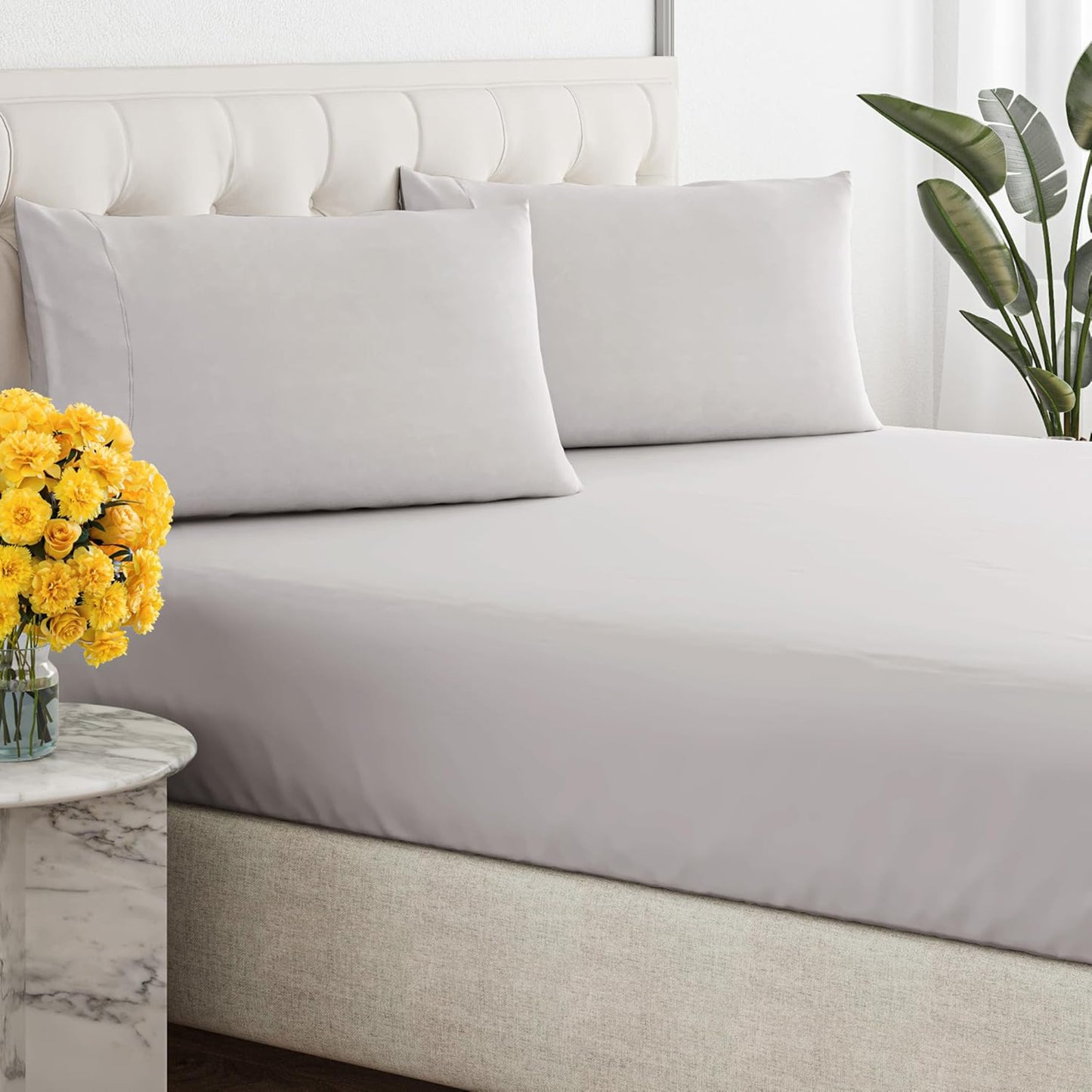 Renee Taylor 300 Thread Count 100% Organic Cotton Fitted and Pillow Case
