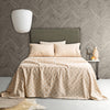 Printed Flannelette Sheet Set - 175 GSM Egyptian Cotton